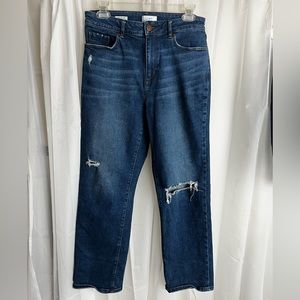 Loft Jean’s curvy, high-rise, straight,straight Women’s size 6 Distressed